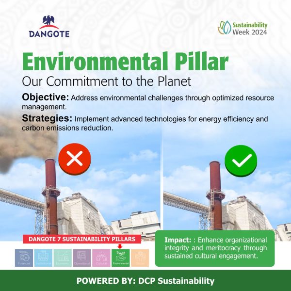 7 Environmental Pillar